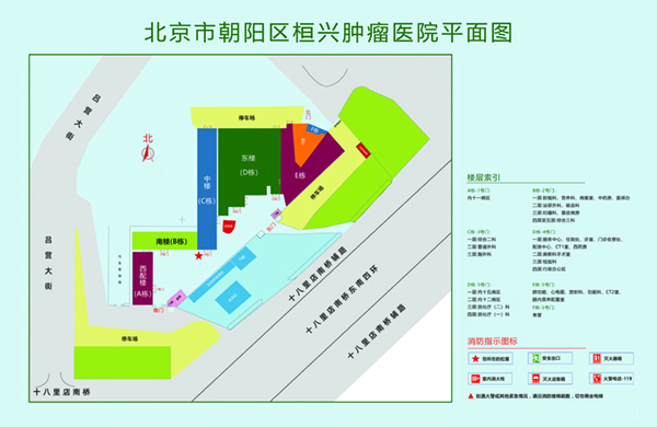 那里能看操逼视频北京市朝阳区桓兴肿瘤医院平面图